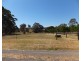 155 Kemptons Road, Lindenow South VIC 3875