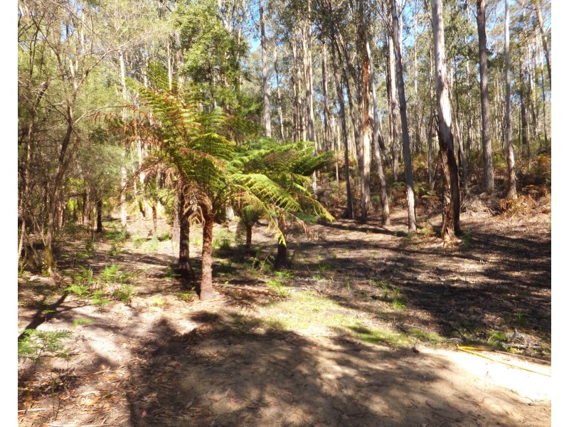 94 Eleven Mile Rd, Sarsfield VIC 3875