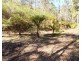 94 Eleven Mile Rd, Sarsfield VIC 3875