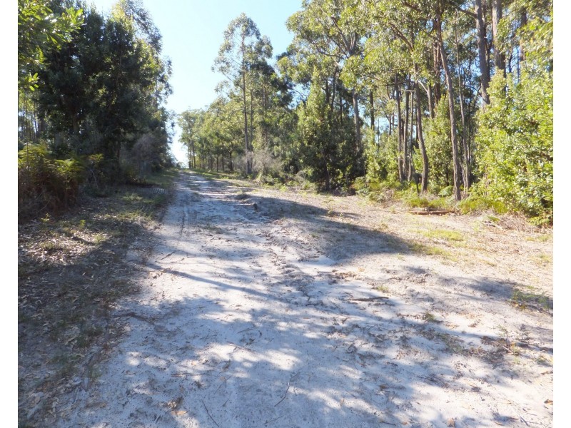 94 Eleven Mile Rd, Sarsfield VIC 3875