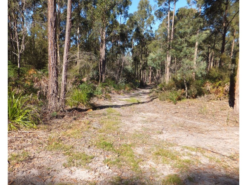 94 Eleven Mile Rd, Sarsfield VIC 3875