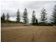 Singleton WA 6175
