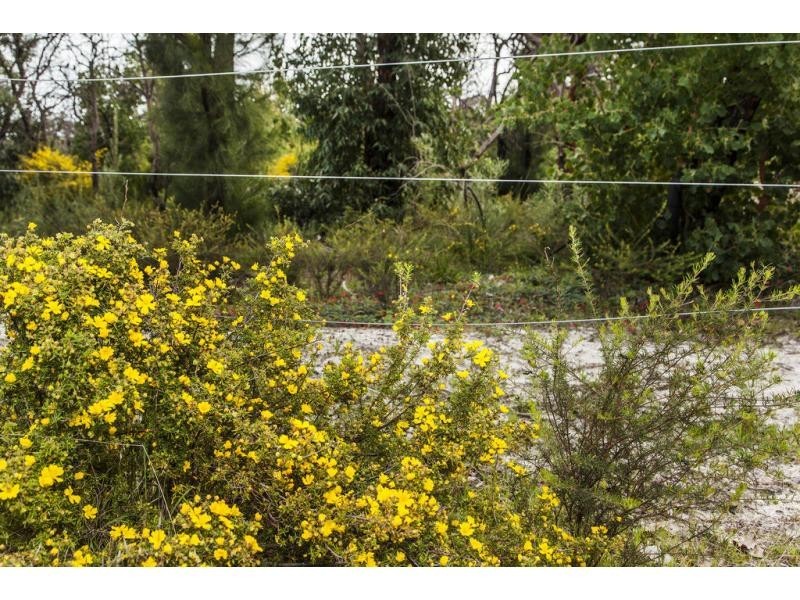 Lake Clifton WA 6215