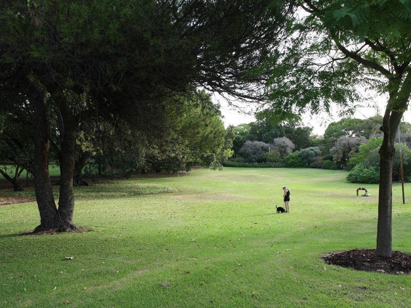 Mount Lawley WA 6050