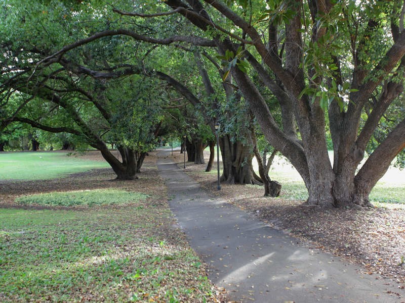 Mount Lawley WA 6050