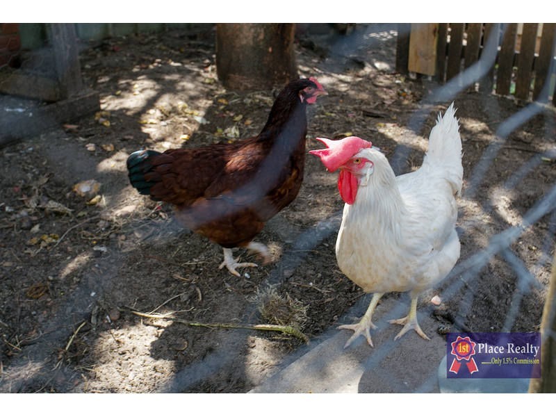 Canning Vale WA 6155