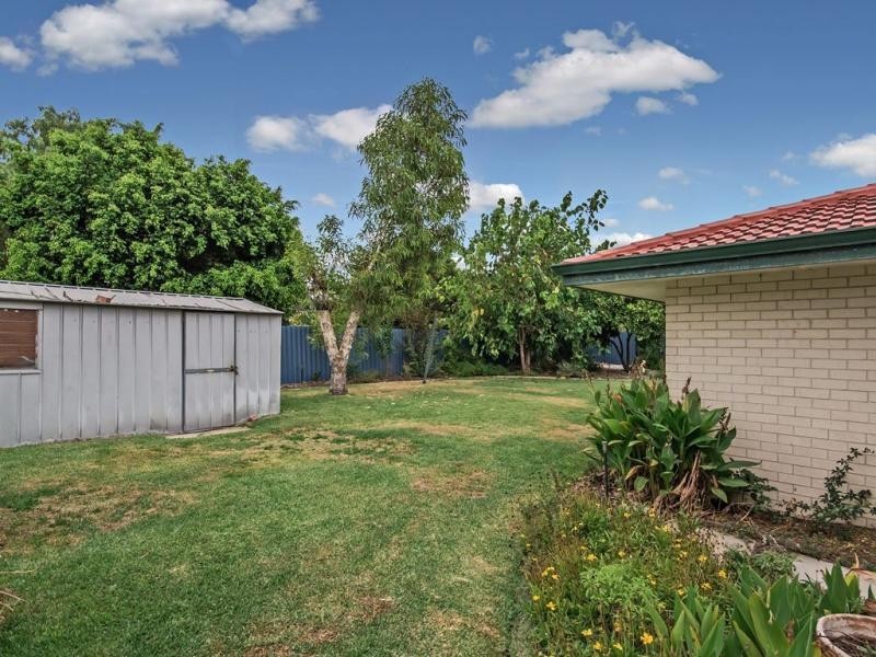 15 Doradeen Close, Hillman WA 6168