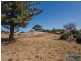 31 Singleton Beach Road, Singleton WA 6175