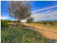 31 Singleton Beach Road, Singleton WA 6175