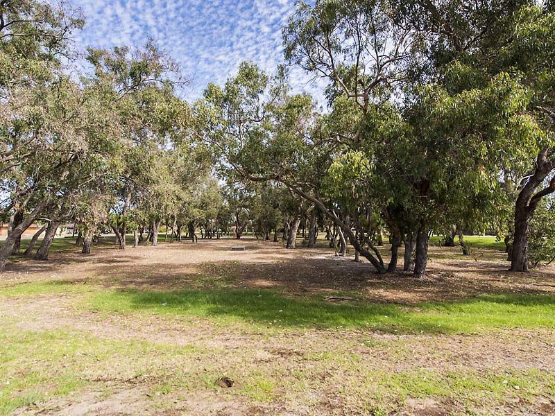 1/2 Corringle Grove, South Lake WA 6164