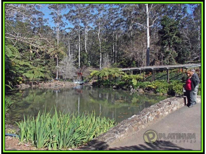 Tamborine Mountain QLD 4272