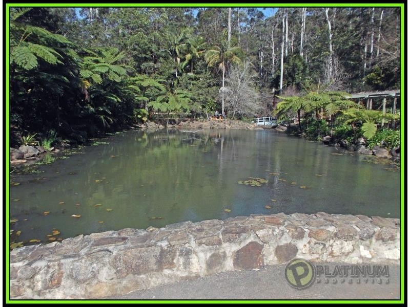 Tamborine Mountain QLD 4272