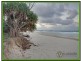 Kingscliff NSW 2487