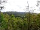 911 Beaudesert-Nerang Road, Mount Nathan QLD 4211