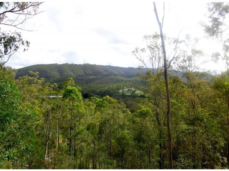911 Beaudesert-Nerang Road, Mount Nathan QLD 4211