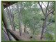 Mount Nathan QLD 4211