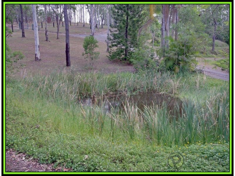 Mount Nathan QLD 4211