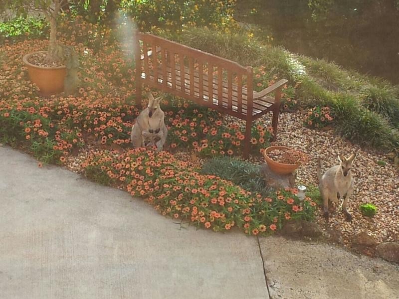 20-22 Flemmington Road, Beechmont QLD 4211