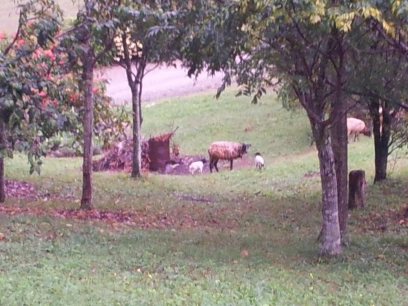 20-22 Flemmington Road, Beechmont QLD 4211