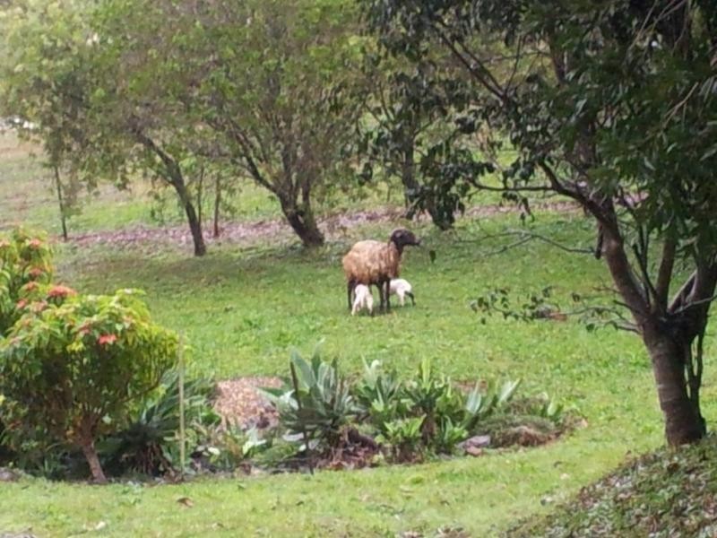 20-22 Flemmington Road, Beechmont QLD 4211