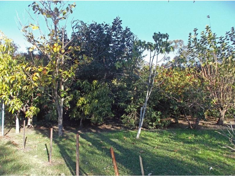 11 Helensvale Road, Helensvale QLD 4212