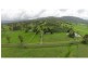 173 Biddaddaba Creek Road, Biddaddaba QLD 4275