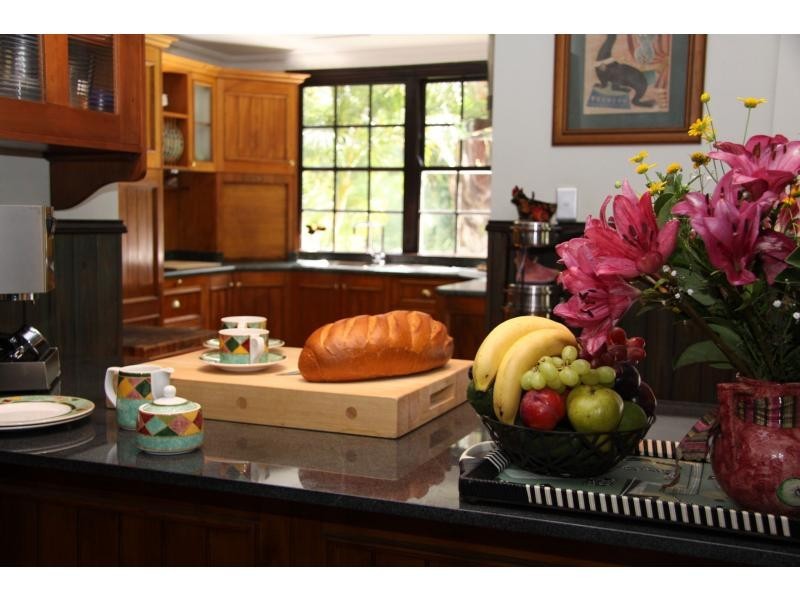 426 Guanaba Creek Road, Guanaba QLD 4210