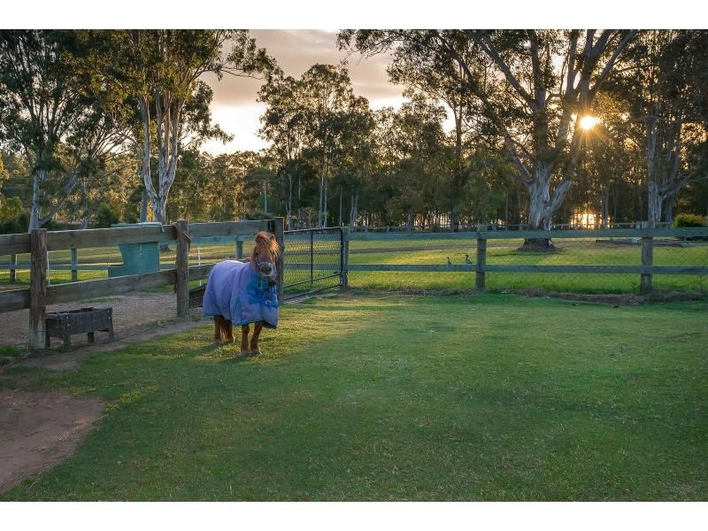 53-57 King Parrot Close, Boyland QLD 4275