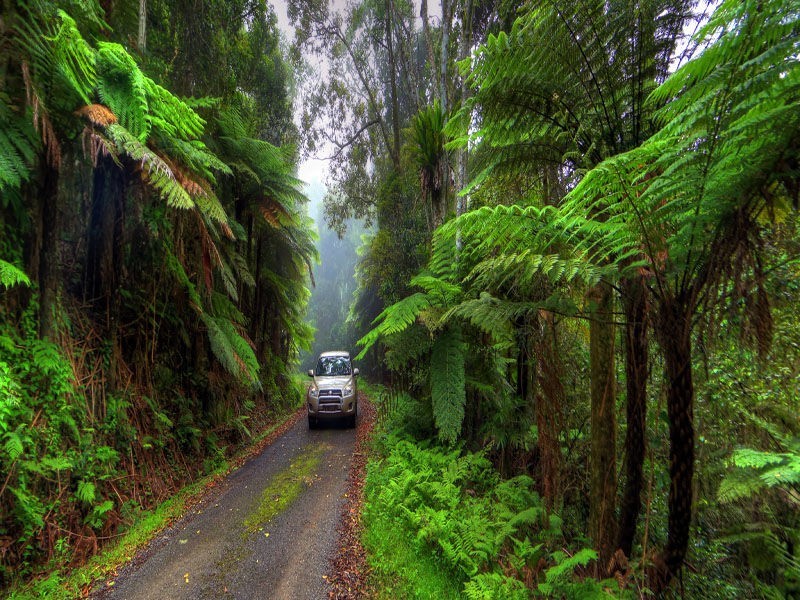 268 Forestry Reserve Road, Goomburra QLD 4362