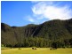 268 Forestry Reserve Road, Goomburra QLD 4362