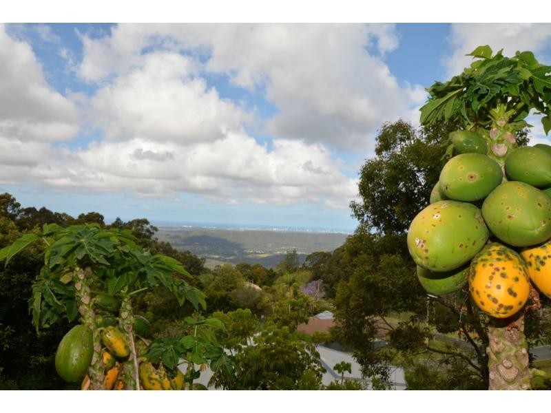 6 Sumatra Court, Tamborine Mountain QLD 4272