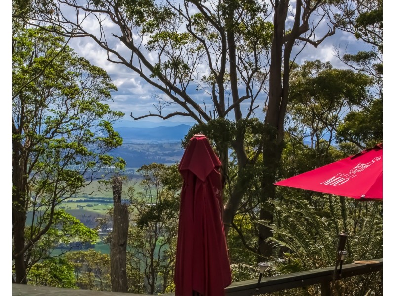 499 Main Western Road, Tamborine Mountain QLD 4272
