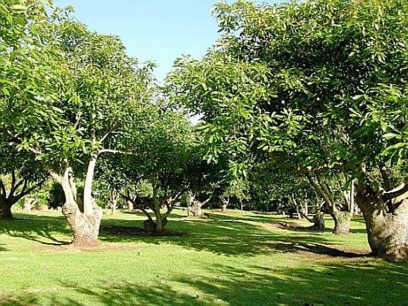 322 Main Western Road, Tamborine Mountain QLD 4272