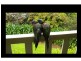 322 Main Western Road, Tamborine Mountain QLD 4272