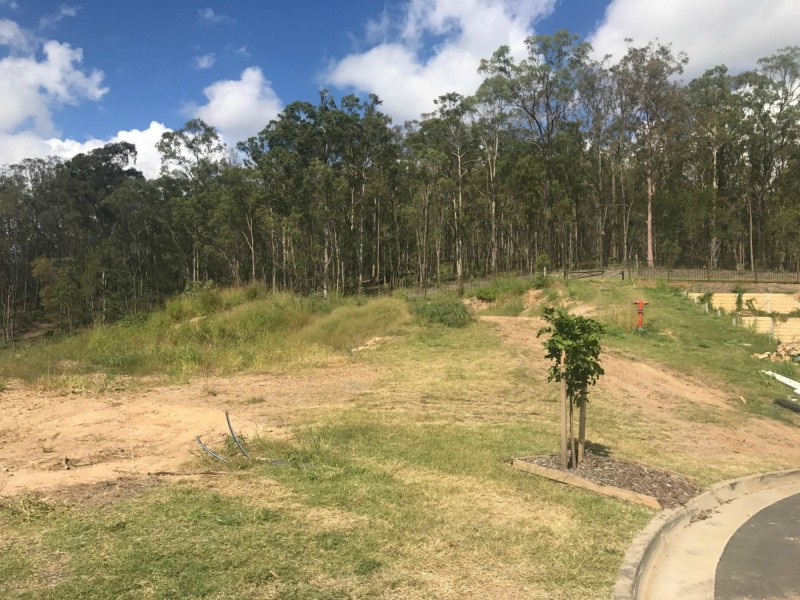Lot 53 Tamarind Place, Pimpama QLD 4209