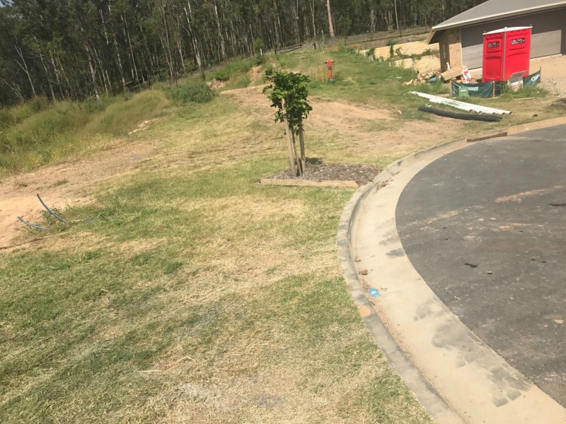Lot 53 Tamarind Place, Pimpama QLD 4209