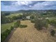 42 Courtney Drive, Upper Coomera QLD 4209