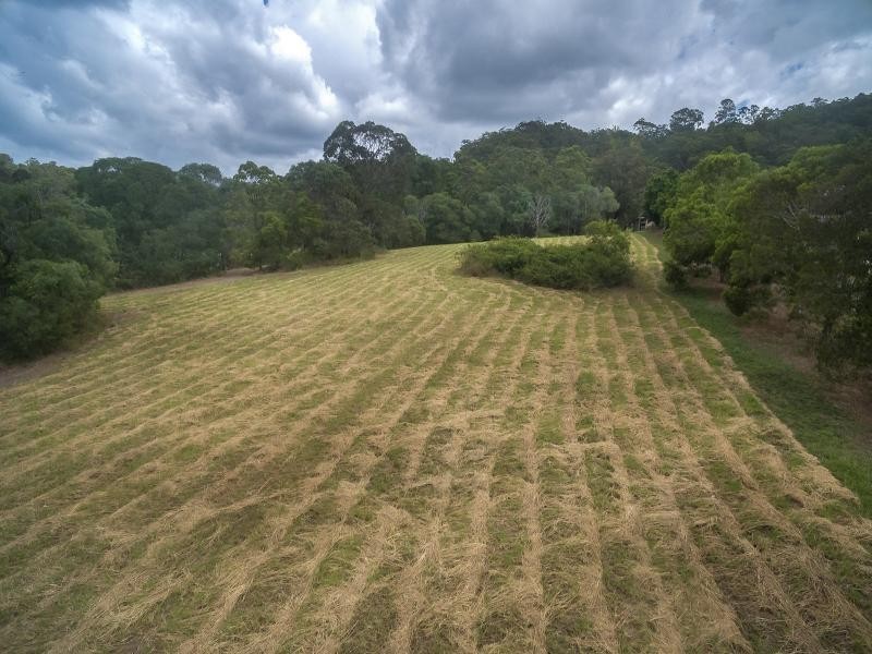 42 Courtney Drive, Upper Coomera QLD 4209