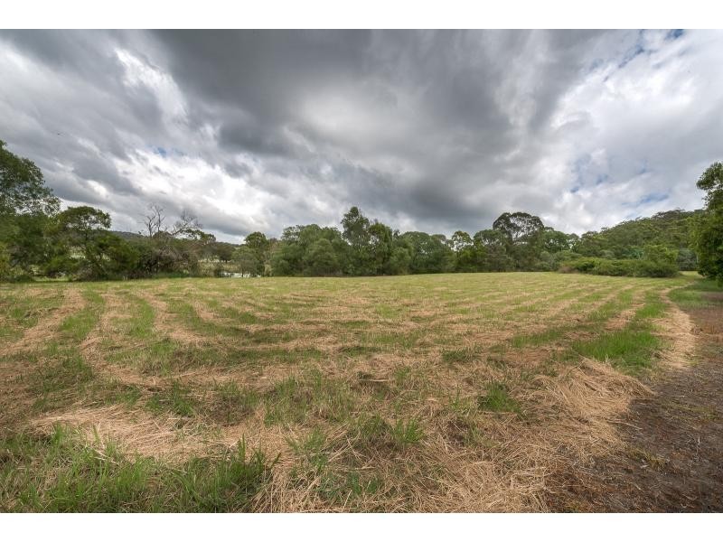 42 Courtney Drive, Upper Coomera QLD 4209