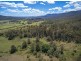 Canungra QLD 4275