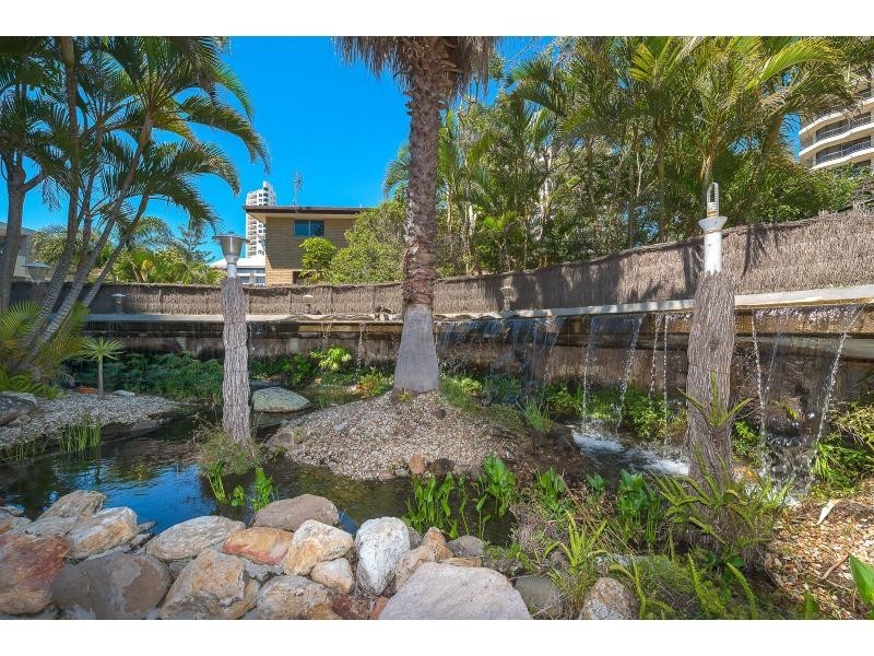 81/4 Thornton Street, Surfers Paradise QLD 4217