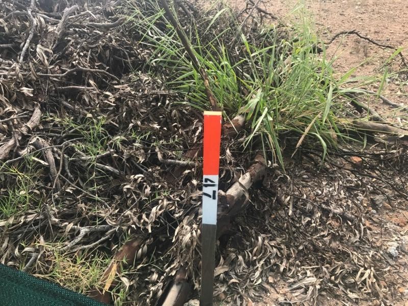 L47 Chatswood Court, Deebing Heights QLD 4306