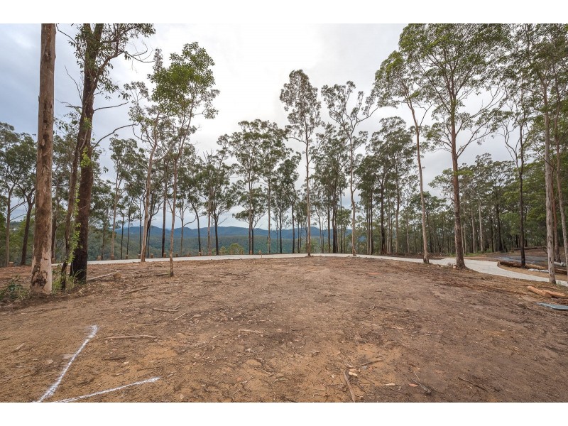 Lot 9, 106 Wongawallen Road, Tamborine Mountain QLD 4272