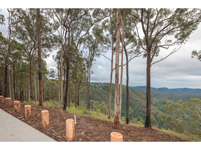 Lot 9, 106 Wongawallen Road, Tamborine Mountain QLD 4272