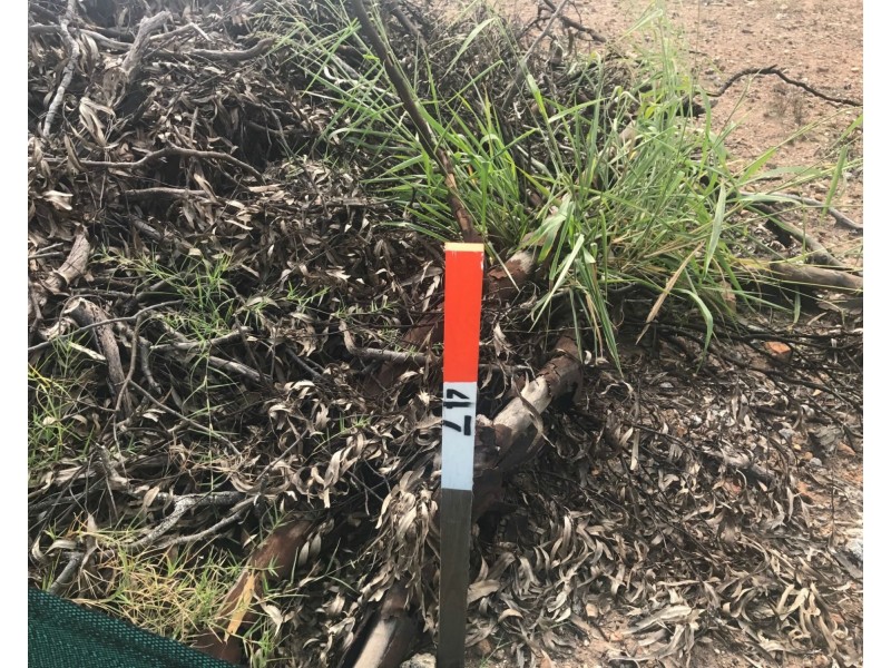 Lot 47 Sunbury Way, Deebing Heights QLD 4306