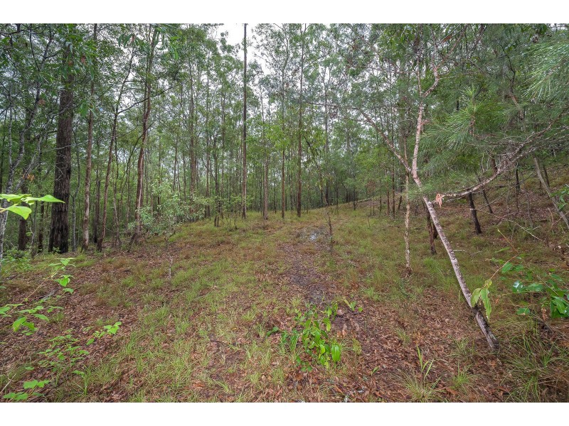 77 Evanita Drive, Gilston QLD 4211