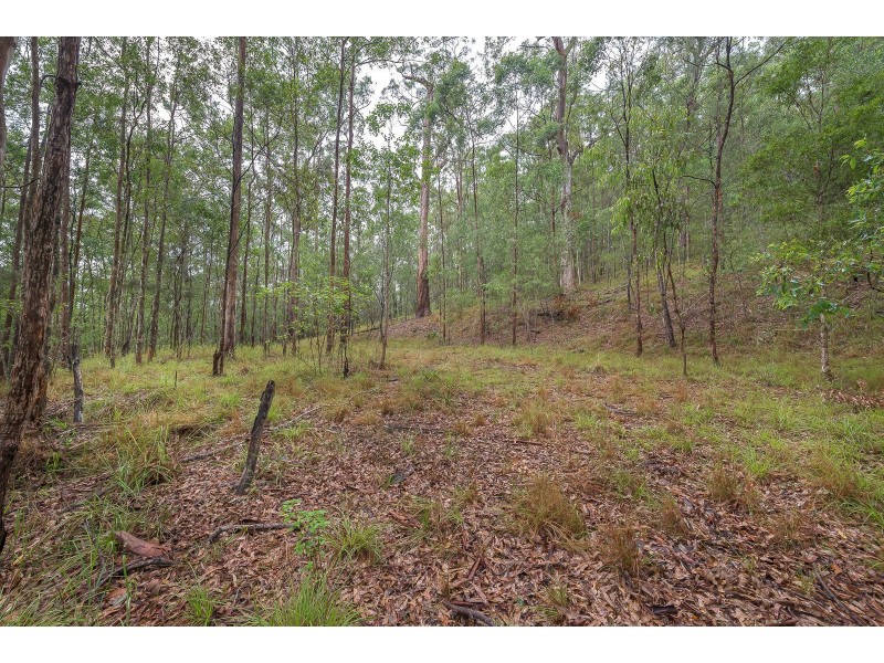 77 Evanita Drive, Gilston QLD 4211