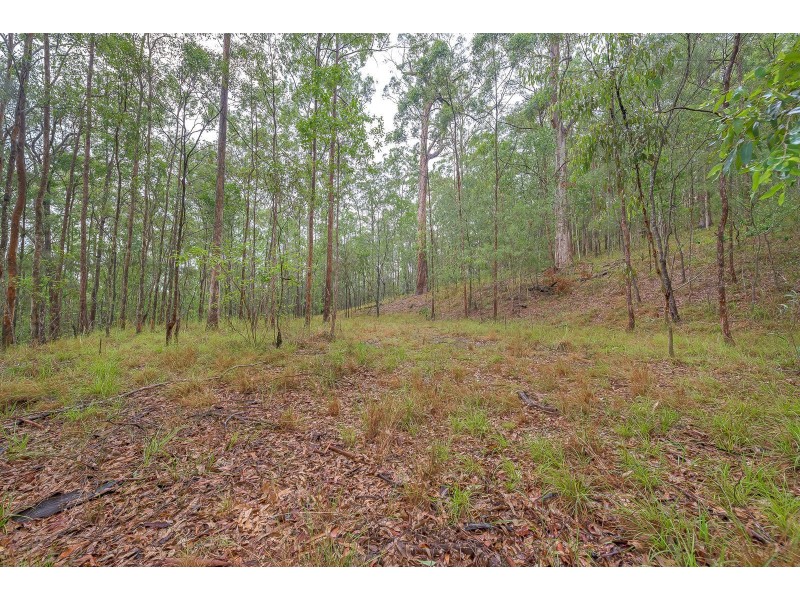 77 Evanita Drive, Gilston QLD 4211