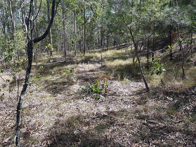 77 Evanita Drive, Gilston QLD 4211