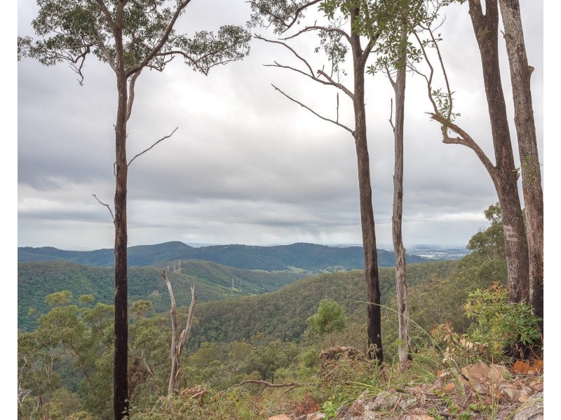 Lot 2, 106 Wongawallen Road, Tamborine Mountain QLD 4272